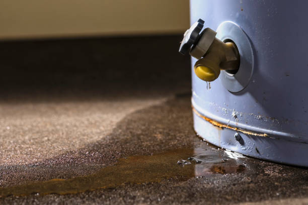 Best Local water damage restoration  in Lone Jack, MO