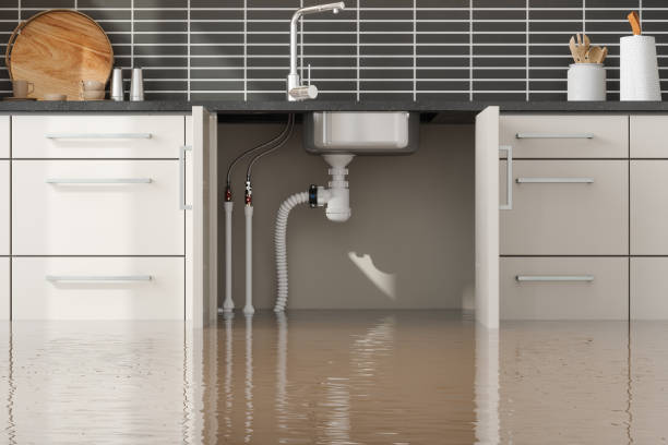 Best Sewage cleanup and water damage restoration  in Lone Jack, MO